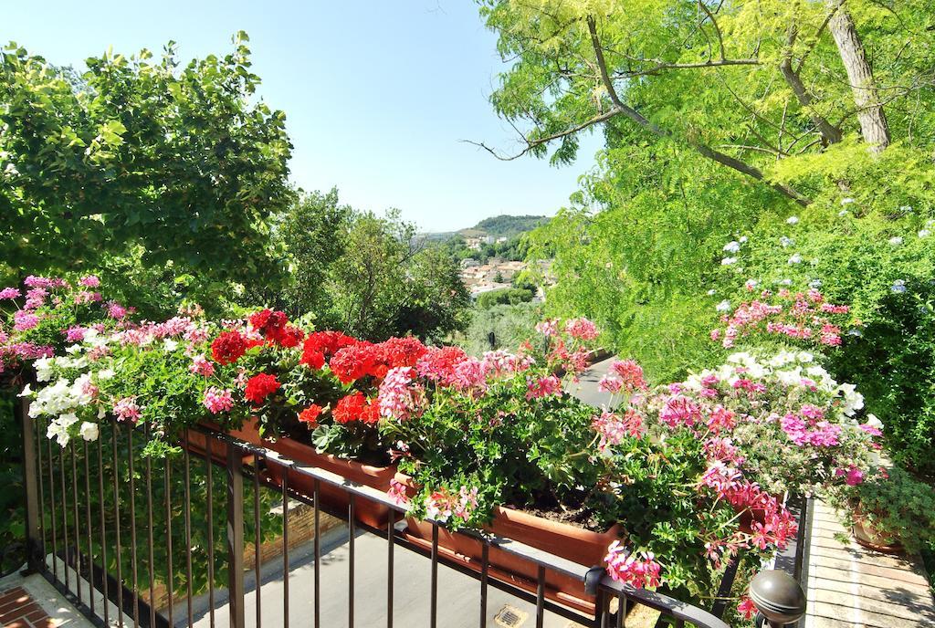 Villa Fiorita Grottammare Dış mekan fotoğraf